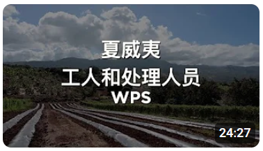 面向夏威夷工人和处理人员的 WPS