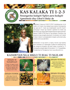 Panangpeksa kadagiti Ngilaw para kadagiti Agmulmula diay Likod ti Balay da | Fruit Fly Management