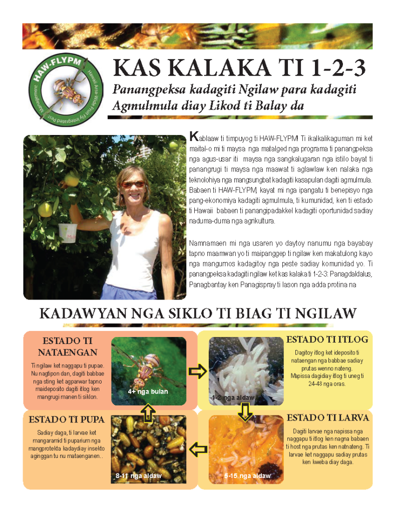 Panangpeksa kadagiti Ngilaw para kadagiti Agmulmula diay Likod ti Balay da | Fruit Fly Management