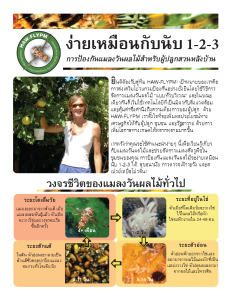 การป้้ องกัันแมลงวัันผลไม้้สําํา หรัับผู้้ปลููกสวนหลัังบ้้าน | Fruit Fly Management