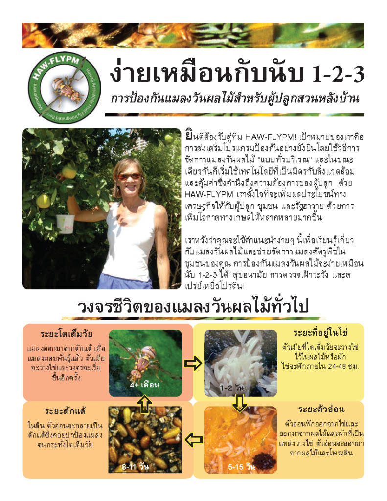 การป้้ องกัันแมลงวัันผลไม้้สําํา หรัับผู้้ปลููกสวนหลัังบ้้าน | Fruit Fly Management