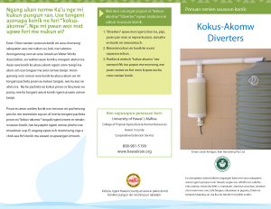 Kokus-Akomw Diverters | First-Flush Diverters