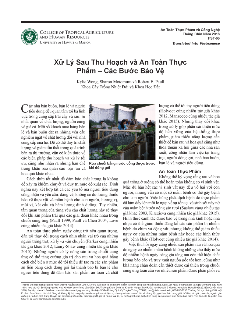 Xử Lý Sau Thu Hoạch và An Toàn Thực Phẩm – Các Bước Bảo Vệ | Postharvest Handling and Food Safety - Layers of Protection
