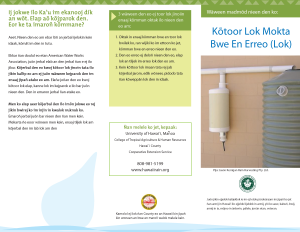 Kotoor Lok Mokta Bwe En Erreo (Lok) | First-Flush Diverters