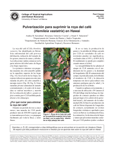 Pulverización para suprimir la roya del café (Hemileia vastatrix) en Hawai | Spraying to Supress Coffee Rust (Hemileia Vastatrix) in Hawaii