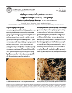 An ally in the war against nematode pests: using sunn hemp as a cover crop to suppress root-knot nematodes