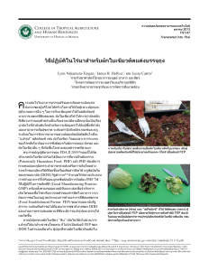 วิธีปฏิบัตุิในไร่นาสำหรับผักใบเขียวตุัดแตุ่งบรรจุถุง | On-Farm Practices for Cut, Bagged Leafy Greens