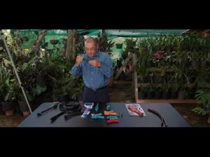 滴灌基础知识 第2部分: 系统设计与安装 | Drip Irrigation Basics Part 2: System Installation