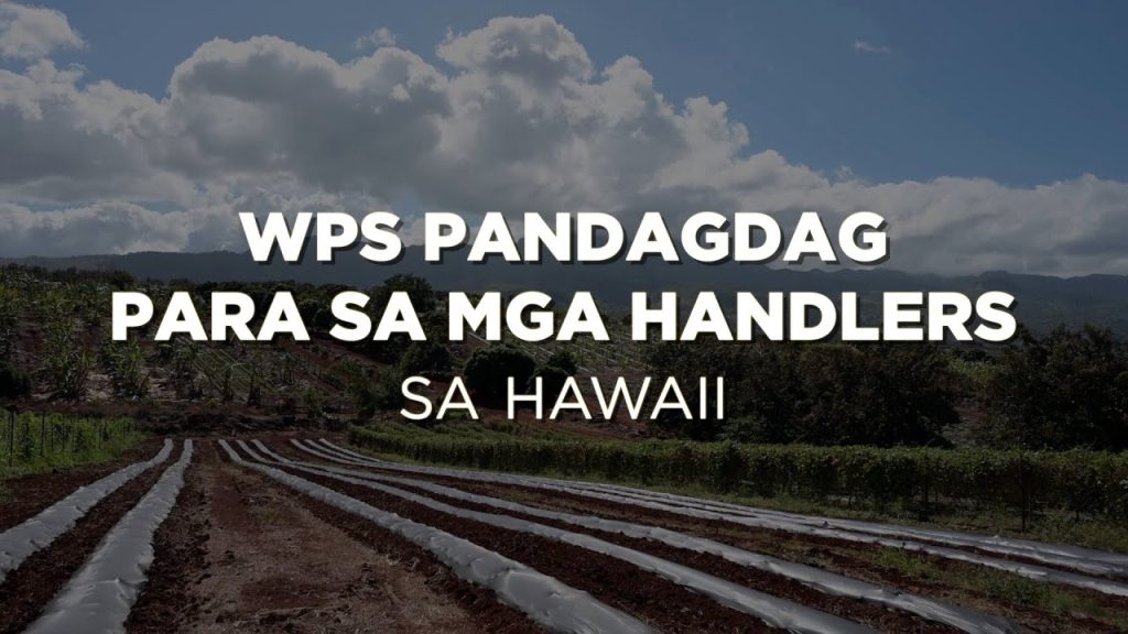WPS Pandagdag para sa mga Handlers | WPS Supplement For Handlers In Hawai`i