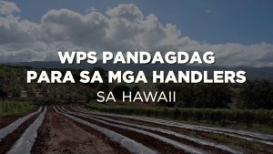 WPS Pandagdag para sa mga Handlers | WPS Supplement For Handlers In Hawai`i