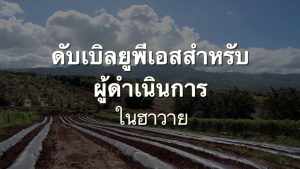 ส่วนเสริม WPS สำหรับตัวจัดการในฮาวาย | WPS Supplement For Handlers In Hawai`i