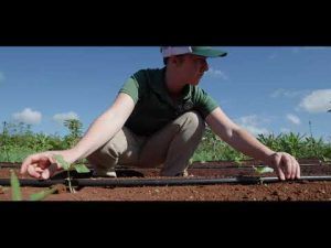 Drip Irrigation Basics Part 2: System Installation