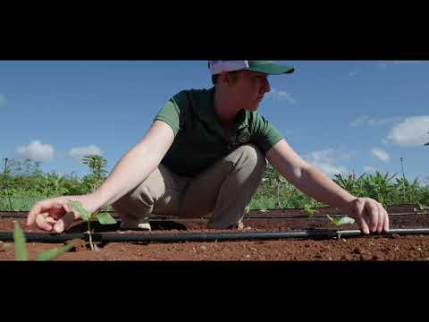 Drip Irrigation Basics Part 2: System Installation
